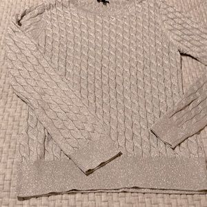 Silver sparkle crew neck sweater